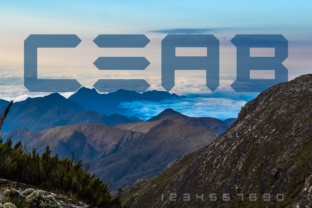 CEAB: A Bold Sans Serif Font for Modern Branding