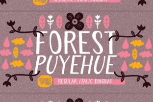 Forest Puyehue Typeface for Authentic Branding