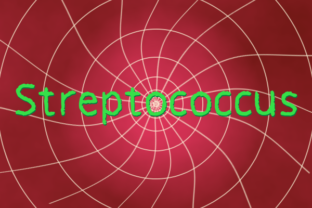 Streptococcus Font: A Playful Typeface for Brands