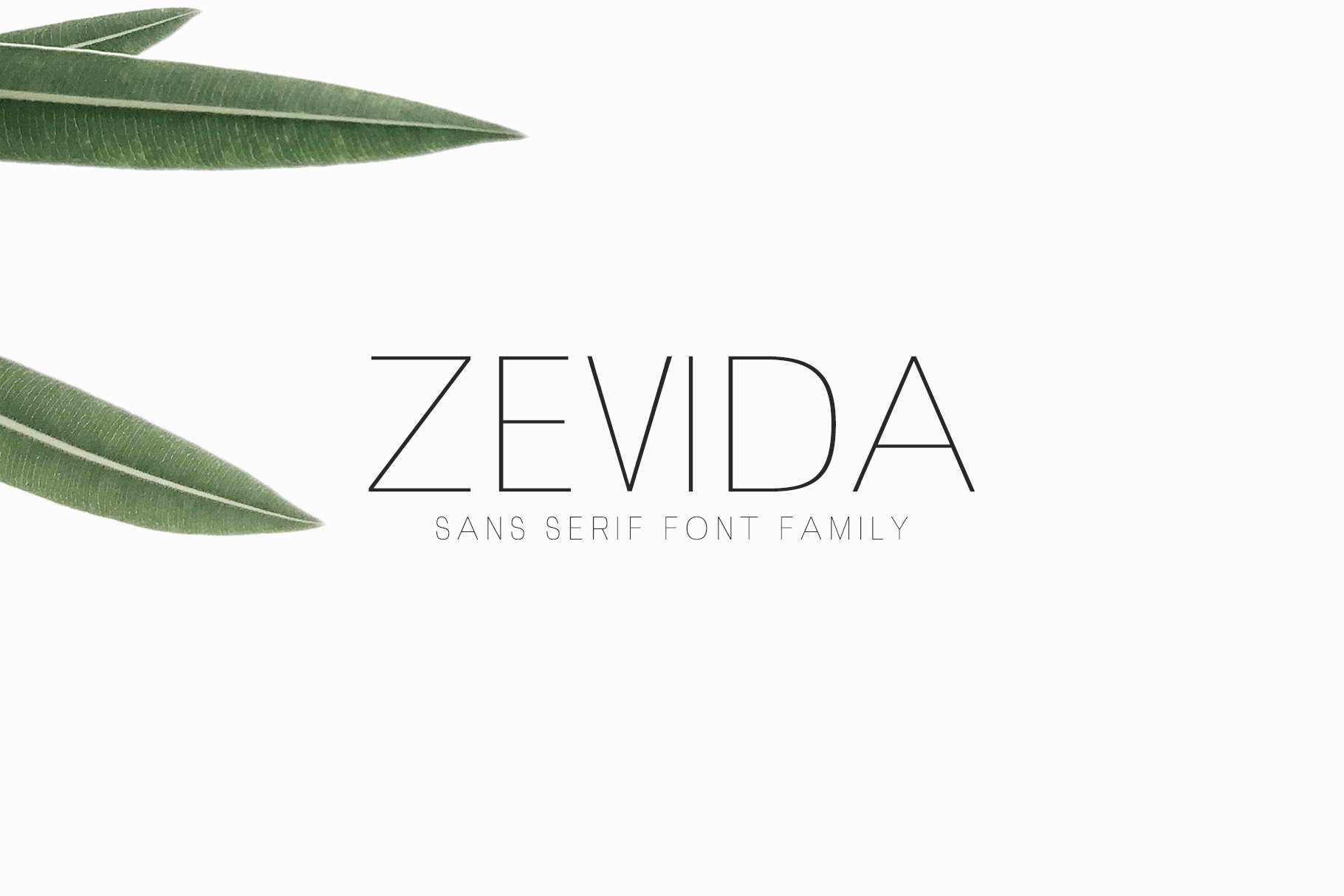 Zevida: The Perfect Clean Sans Serif Font for Crafters